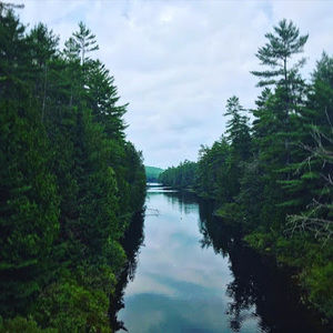 Meet your Posher, Dan